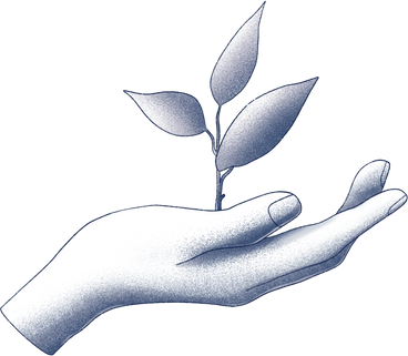 ilustração de uma mão a segurar uma planta
